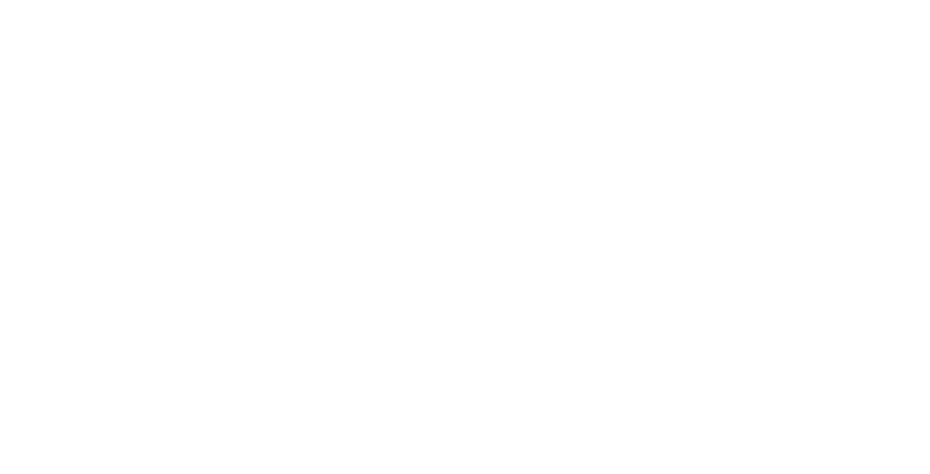 Fitplay white logo